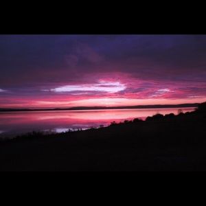 Meet your Posher, Alysandra